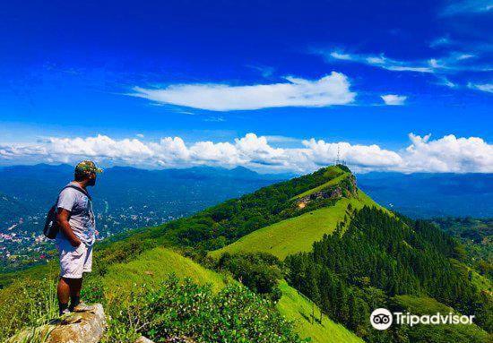 The Grand Hills Bed & Breakfast แคนดี้ ภายนอก รูปภาพ